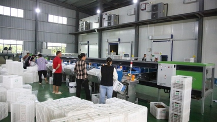 修文縣首個即食獼猴桃加工中心建成投用，開啟獼猴桃產(chǎn)業(yè)發(fā)展新篇章